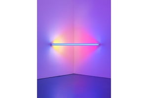 ダン・フレイヴィンなど15名のアーティストが参加、企画展「I Care Because You Do」が開催