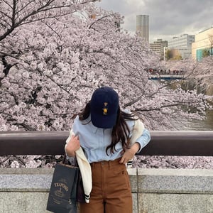 都内の花見スポットを紹介　定番から穴場まで