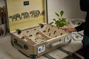グローブ・トロッターが野生動物保護団体とコラボ、森林の色合いから着想したコレクション発売